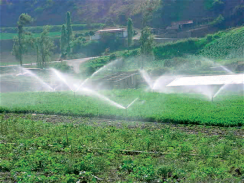 Sprinkler Irrigation System